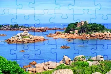 4 jigsaw puzzle