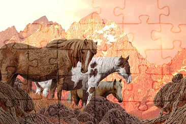 Wild Horses jigsaw puzzle