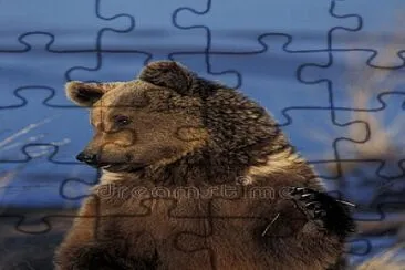 GRIZZLY BEAR, ALASKA jigsaw puzzle