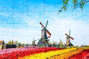 cores jigsaw puzzle