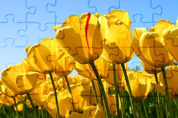 Marvinlily jigsaw puzzle