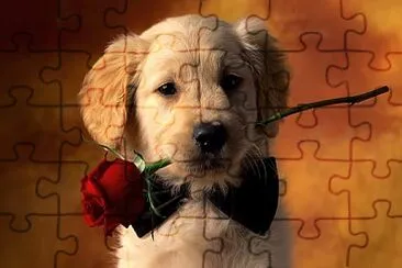 cachorro romÃ¡ntico jigsaw puzzle