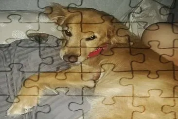 Tobias jigsaw puzzle