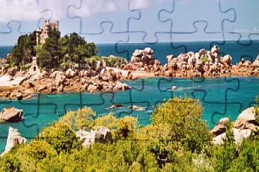 4 jigsaw puzzle