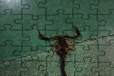 AlacrÃ¡n jigsaw puzzle