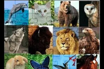 Rompecabezas de animales