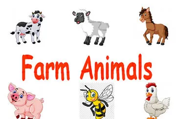 Farm Animals