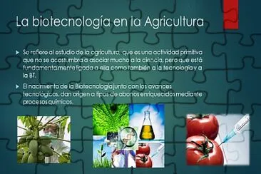 BiotecnologÃ­a en la agricultura