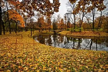 automne jigsaw puzzle