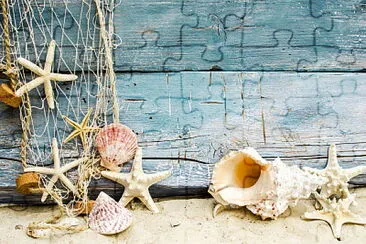 Starfishes and seashells