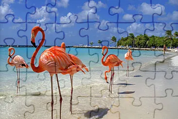 Flamingos beach jigsaw puzzle