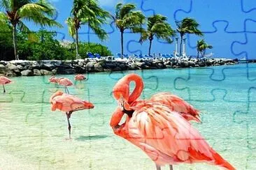 Playa de flamencos jigsaw puzzle