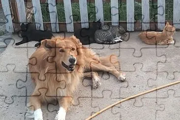 36 jigsaw puzzle