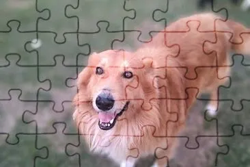 37 jigsaw puzzle