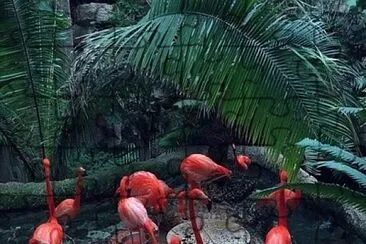 פאזל של Palm tree and flamingos