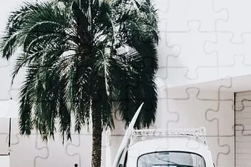 פאזל של Fusca and palm tree