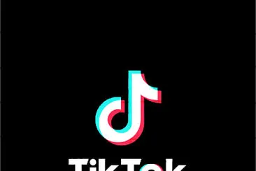 TIKTOK jigsaw puzzle