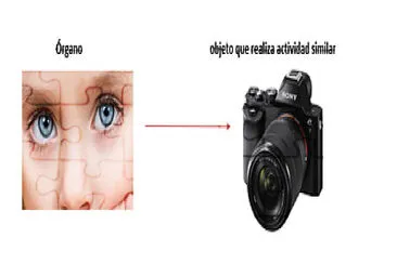 ojos-camara