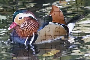 canard jigsaw puzzle