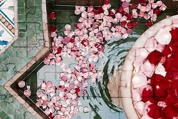 Rose petals in fountain