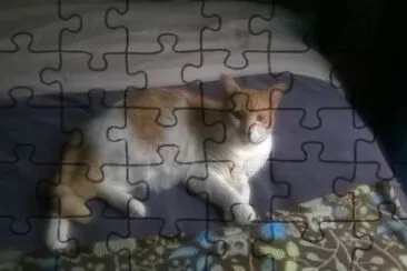 Ava Kitty jigsaw puzzle