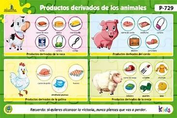 Animales y sus derivados