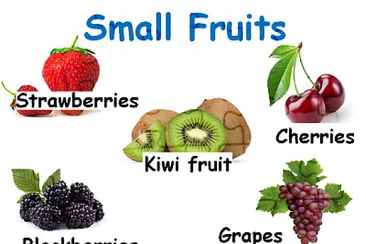 Small Fruits