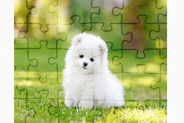 Cachorrinho jigsaw puzzle