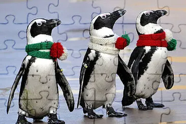 Holiday Penguins