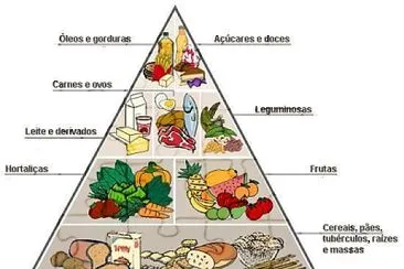 Piramide Alimentar