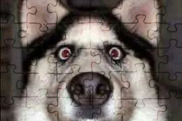 Reivaxicus_maximus jigsaw puzzle