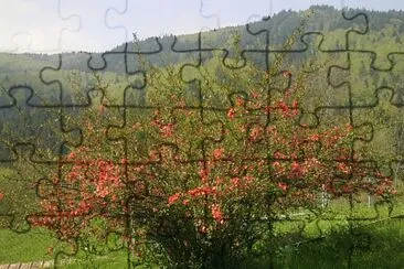 BlÃ¼tenstrauch jigsaw puzzle