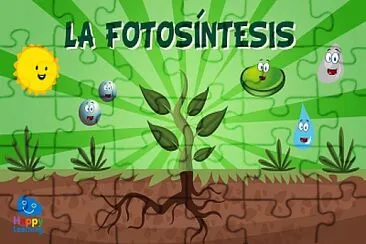 FotosÃ­ntesis