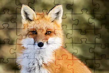 cute jigsaw puzzle