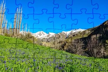 Foto jigsaw puzzle