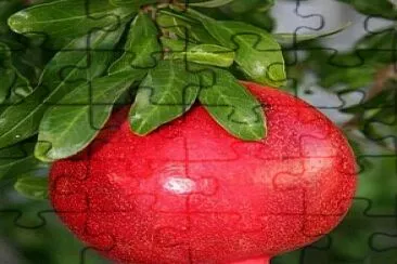 frutas07 jigsaw puzzle