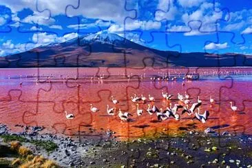 Blivie flamands rouges jigsaw puzzle