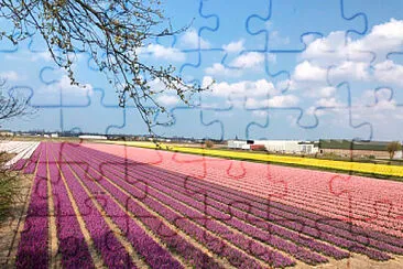 imagem jigsaw puzzle