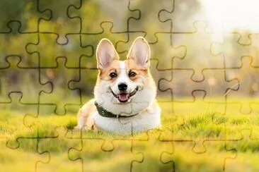 Foto jigsaw puzzle