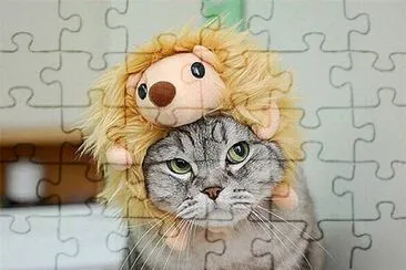 Cat jigsaw puzzle