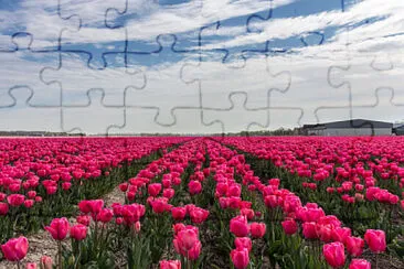 Foto jigsaw puzzle