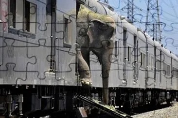 Elephant Station