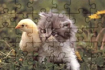 Chick and Kitty