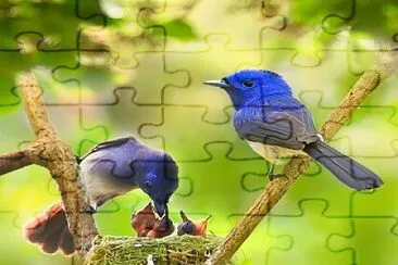 CENÃRIO K222 jigsaw puzzle