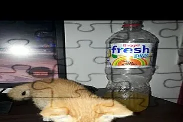 botella de fresh con tyron jigsaw puzzle