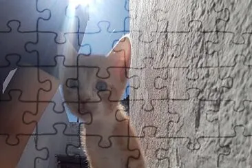 tyron en la escalera jigsaw puzzle