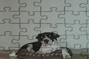 Alison M jigsaw puzzle