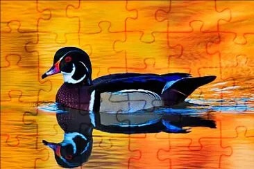 reflet jigsaw puzzle