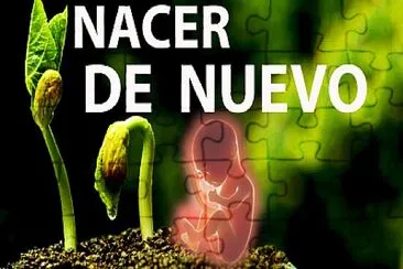 NACER DE NUEVO