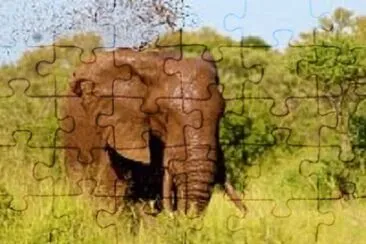 Foto jigsaw puzzle